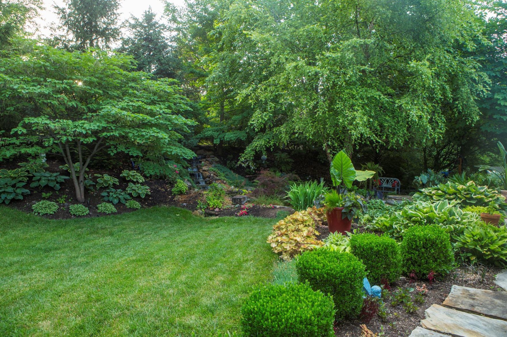 Shaded Oasis